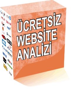 ucretsiz websitesi analizi